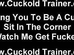 Cuckold humiliation video for gays
