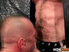 Muscular bears in leather anal sex