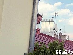 Gay porn with blow jobs and big cock action