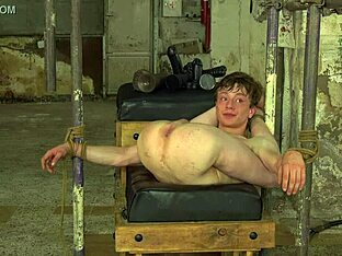 Dominant domination for young twink