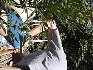 Gay blowjobs and 420 action