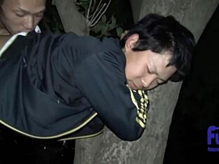 Gay sex in the jungle