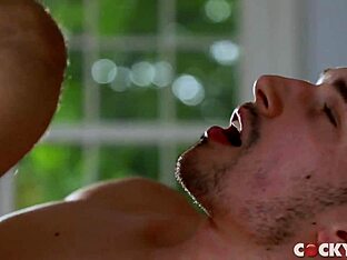 Austin Avery and Adrian Hart's anal scene