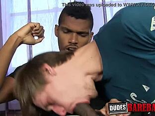 Aggressive race mix arouses gay