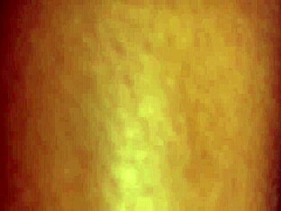 A homemade video of a twinks big cock fucking an asshole.