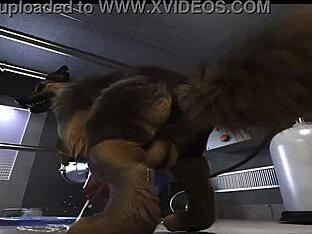 Gay Furry Compilation with Bareback Sex