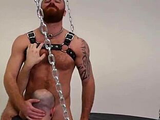 Hairy bear's raw gay action