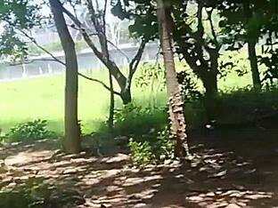 Oral sex in public park
