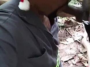 Christmas wish granted in park
