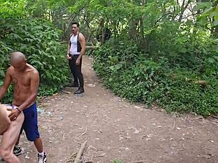 Wild public orgy in woods