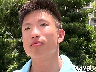 Gay Porn Videos Feature Blowjobs