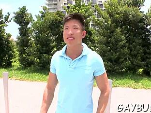 Gay Porn Videos Feature Blowjobs