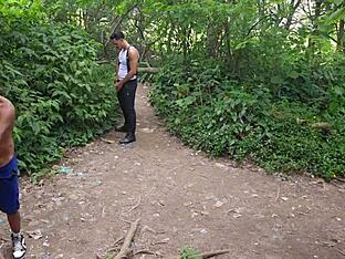 Wild public orgy in woods