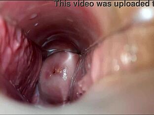 Gay Twinks in Bareback Orgy